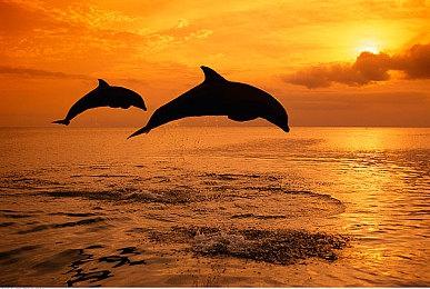 《最终幻想14》在过去24小时内打破了Steam同时在线玩家记录