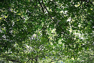 《最终幻想7：重生》监督表示首要任务是完成三部曲